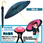 画像7: 24本骨和傘「蛇の目風色彩モダン配色」 (7)