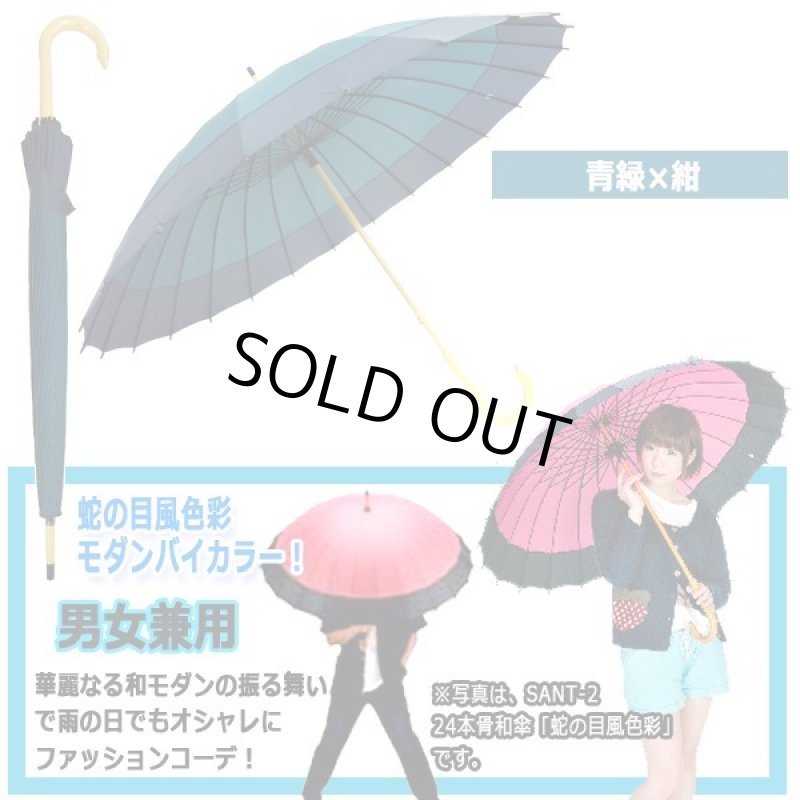画像7: 24本骨和傘「蛇の目風色彩モダン配色」 (7)