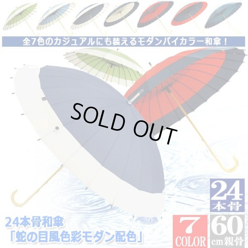 画像8: 24本骨和傘「蛇の目風色彩モダン配色」 (8)