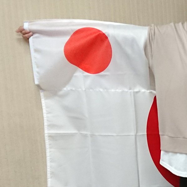 日本国旗特大日の丸フラッグ「袖付き」RG-HFS