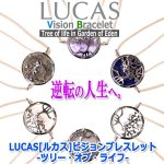画像10: LUCAS[ルカス]ビジョンブレスレット-ツリー・オブ・ライフ- (10)