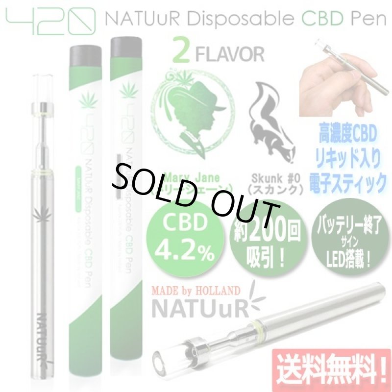 画像1: CBD4.2％リキッド入り電子スティック「ナチュール」 (1)