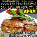 画像1: 本場ハンガリーから取り寄せ！世界三大珍味フォアグラ100g (1)