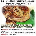 画像2: 本場ハンガリーから取り寄せ！世界三大珍味フォアグラ100g (2)