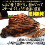 画像1: 本場スペインから取り寄せ！イベリコ豚肩ロースステーキ500g (1)