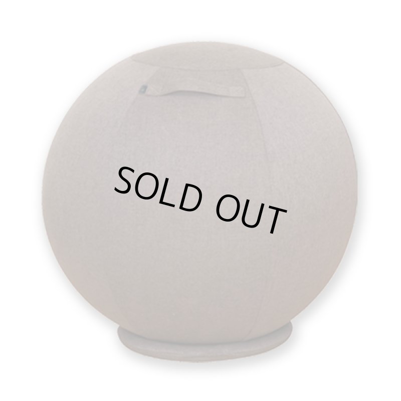 画像9: 座るだけで体幹が鍛えられる!専用台座付き体幹バランスエクサボール55 (9)