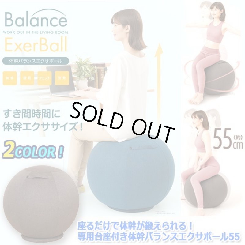 画像8: 座るだけで体幹が鍛えられる!専用台座付き体幹バランスエクサボール55 (8)