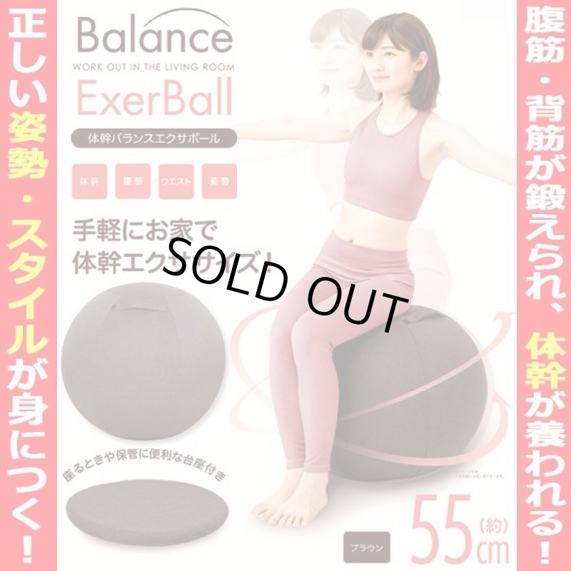 画像2: 座るだけで体幹が鍛えられる!専用台座付き体幹バランスエクサボール55 (2)