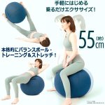 画像3: 座るだけで体幹が鍛えられる！専用台座付き体幹バランスエクサボール55 (3)