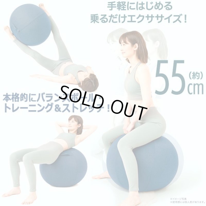 画像3: 座るだけで体幹が鍛えられる!専用台座付き体幹バランスエクサボール55 (3)