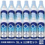 画像3: 携帯用酸素缶「OXY-IN (5リットル)」x12本セット・送料無料 (3)