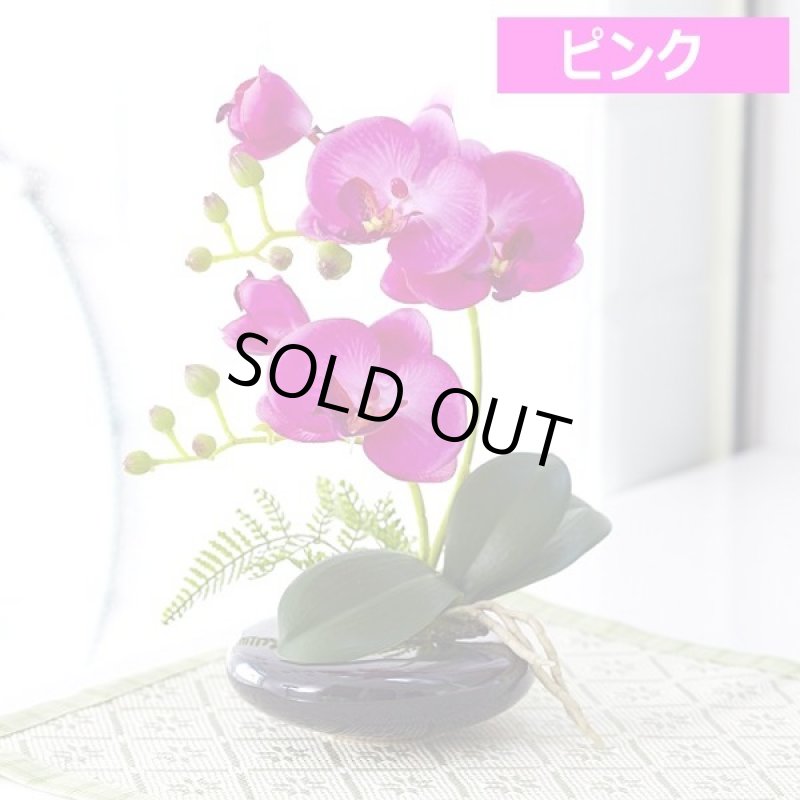 画像4: 光触媒で半永久的に空気を浄化する卓上型胡蝶蘭「奏(かなで)」 (4)