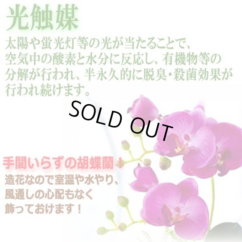 画像2: 光触媒で半永久的に空気を浄化する卓上型胡蝶蘭「奏(かなで)」 (2)