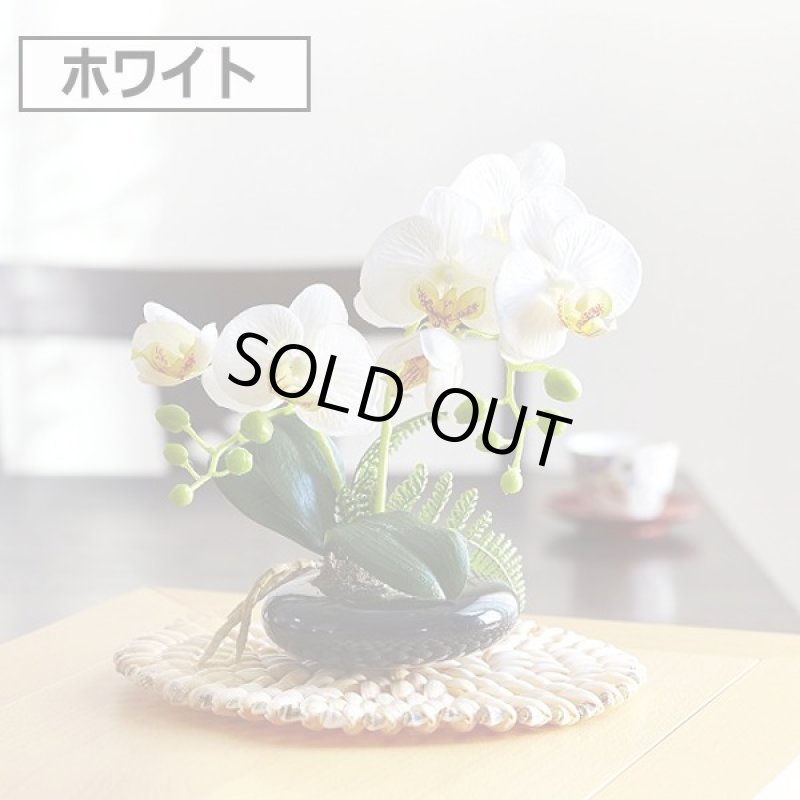 画像3: 光触媒で半永久的に空気を浄化する卓上型胡蝶蘭「奏(かなで)」 (3)