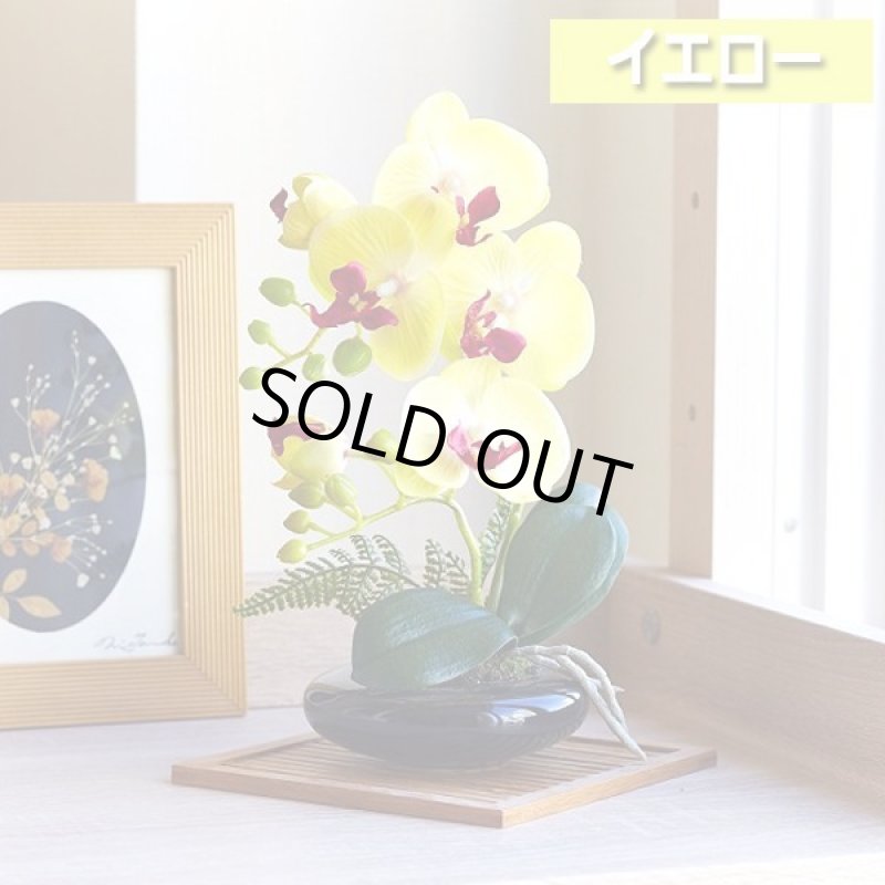 画像5: 光触媒で半永久的に空気を浄化する卓上型胡蝶蘭「奏(かなで)」 (5)