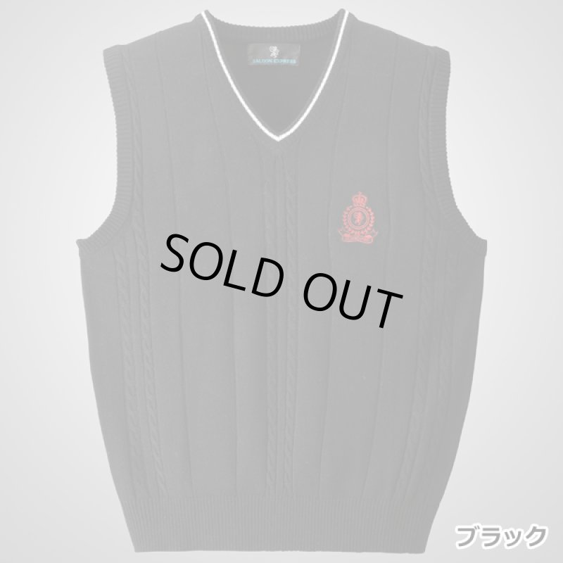画像6: SALOON EXPRESS(サルーンエクスプレス)モノトーンVベスト3色組 (6)
