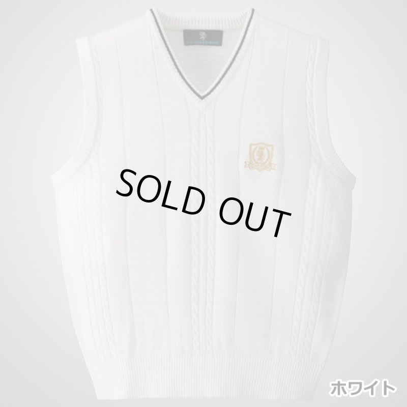 画像8: SALOON EXPRESS(サルーンエクスプレス)モノトーンVベスト3色組 (8)