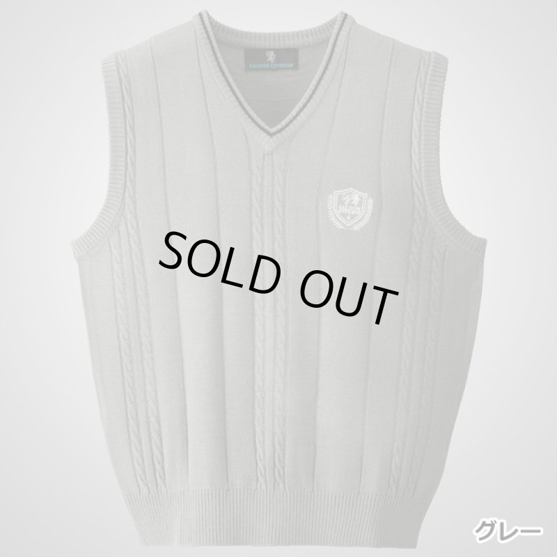 画像7: SALOON EXPRESS(サルーンエクスプレス)モノトーンVベスト3色組 (7)