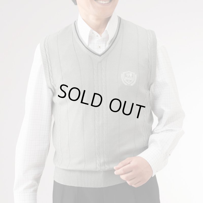 画像2: SALOON EXPRESS(サルーンエクスプレス)モノトーンVベスト3色組 (2)