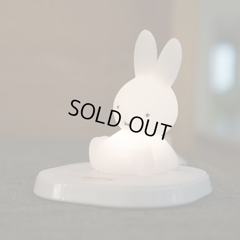 画像3: チャージアンドミッフィー (3)