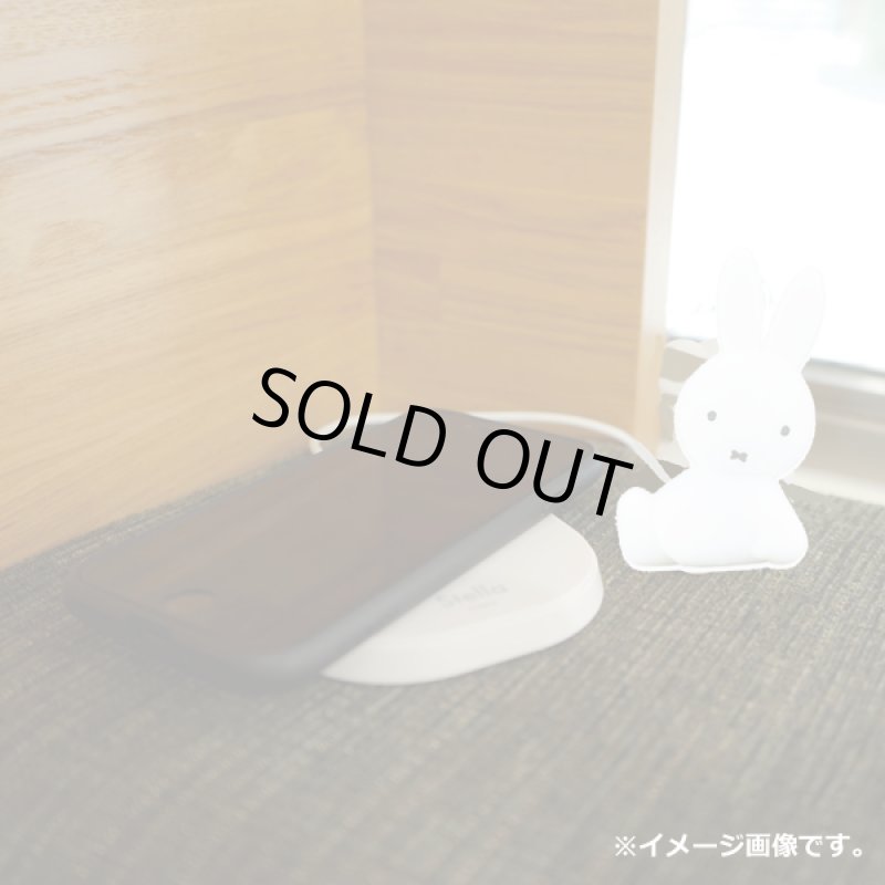 画像5: チャージアンドミッフィー (5)