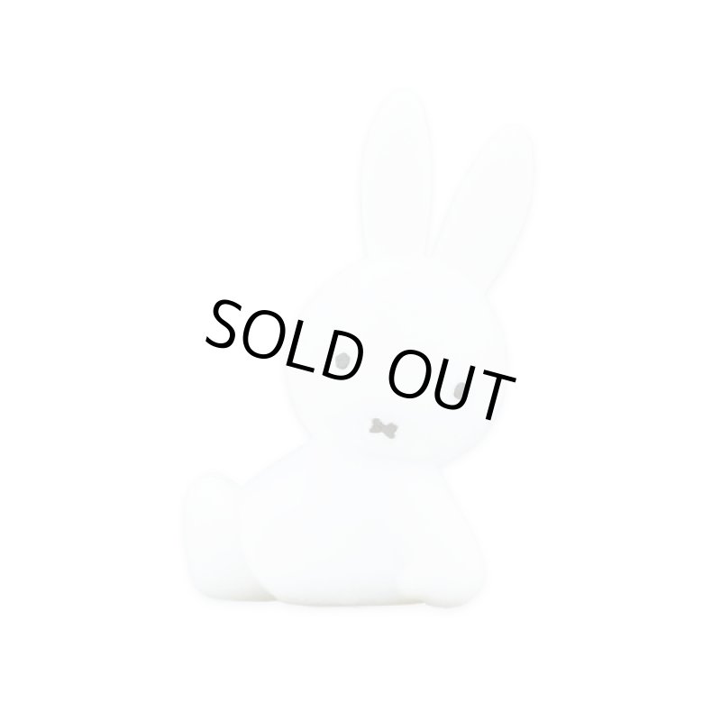 画像8: チャージアンドミッフィー (8)