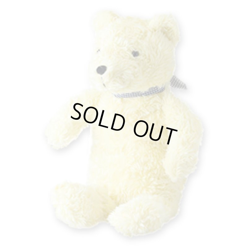 画像10: Fashy[ファシー]湯たんぽ＆プラッシュトーイベアーカバーシリーズ (10)