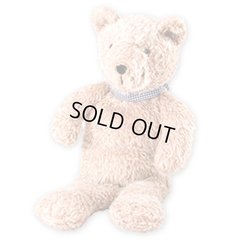 画像9: Fashy[ファシー]湯たんぽ＆プラッシュトーイベアーカバーシリーズ (9)