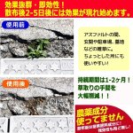 画像3: シュッとスプレーするだけの草取り！枯れ〜ル雑草400ml[3本] (3)