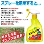 画像4: シュッとスプレーするだけの草取り！枯れ〜ル雑草400ml[3本] (4)