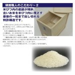 画像6: 日本製総桐計量米びつ10kg (6)