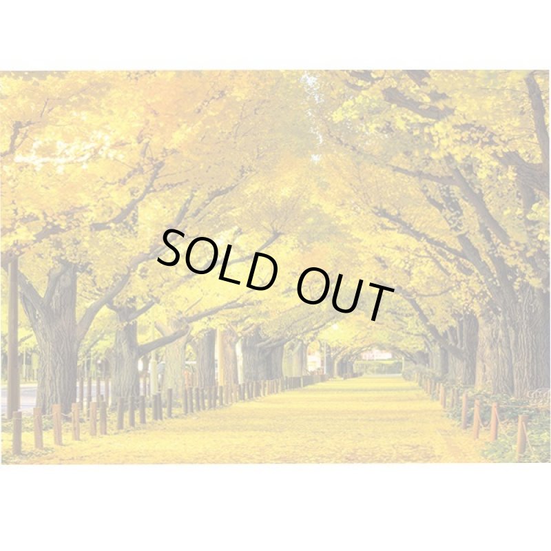 画像2: ジグソー日本の風景「神宮外苑の銀杏並木」フレームセット（600P） (2)