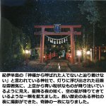 画像2: 幸運をもたらす奇跡の写真「星降る夜」 (2)