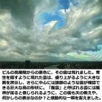 画像2: 幸運をもたらす奇跡の写真「白銀の翼」 (2)