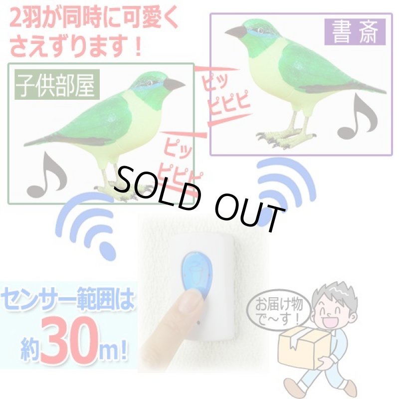 画像3: 配線不要!緑の小鳥のなかよしペアチャイムセット (3)