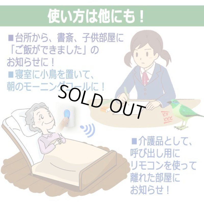 画像4: 配線不要!緑の小鳥のなかよしペアチャイムセット (4)