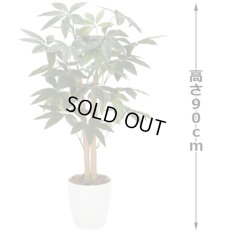 画像4: 光触媒グリーンアレンジ「パキラ90」  (4)