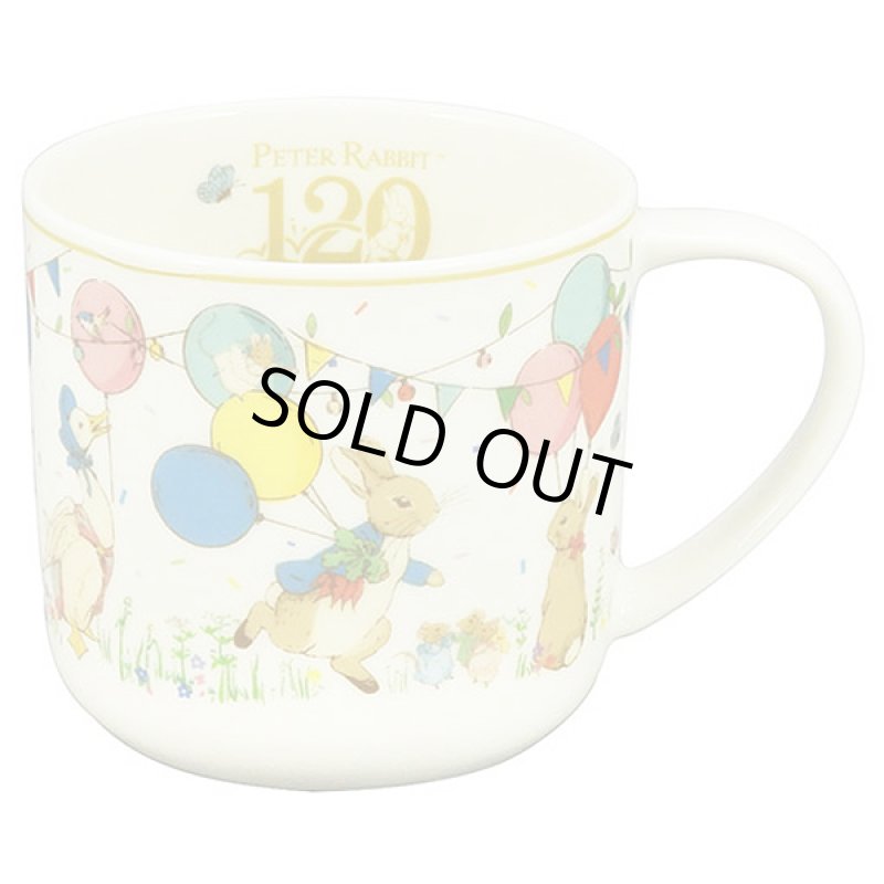 画像2: ピーターラビット120周年記念マグ (2)