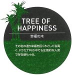 画像5: 光触媒グリーンアレンジ「幸福の木1.6」  (5)