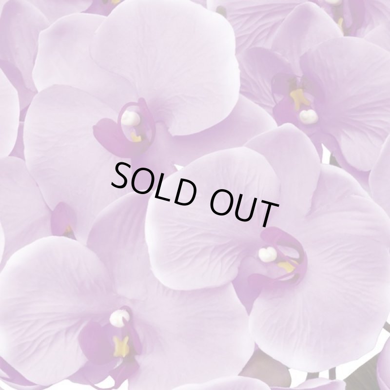 画像3: 光触媒フラワーアレンジ「エレガント胡蝶蘭5本立てL」  (3)