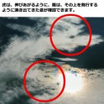 画像3: 幸運をもたらす奇跡の写真「龍虎」 (3)