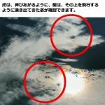 画像3: 幸運をもたらす奇跡の写真「龍虎」 (3)