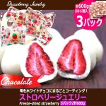 画像4: 苺をホワイトチョコにまるごとコーティング！ストロベリージュエリー[3パック/計600g] (4)