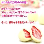 画像2: 苺をホワイトチョコにまるごとコーティング！ストロベリージュエリー[3パック/計600g] (2)