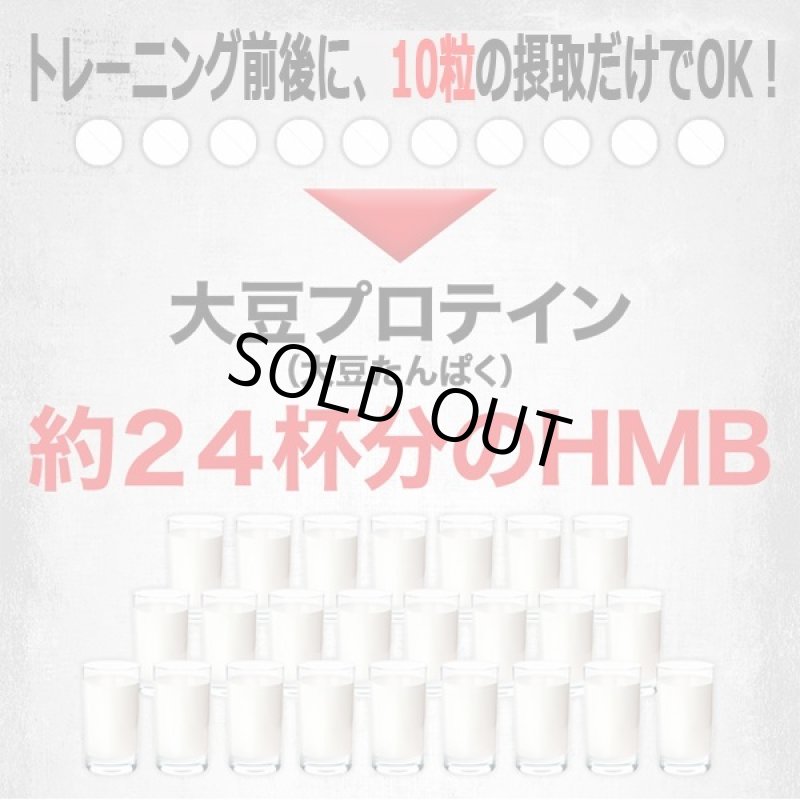 画像6: 筋肉革命SHAPE UP&MUSCLE!「SIXMAX HMB2975」3パック (6)