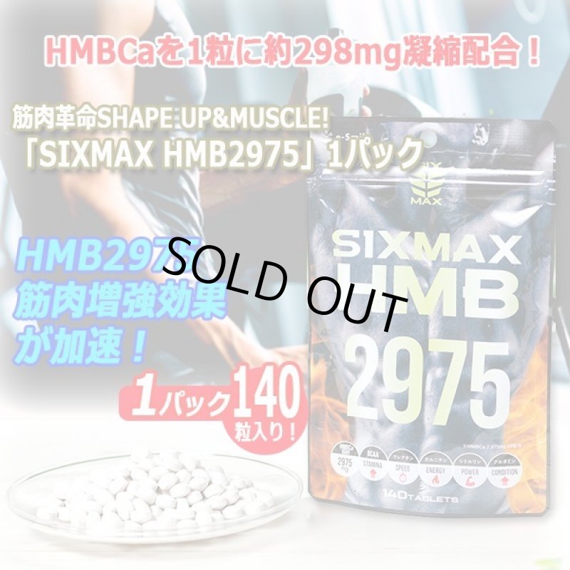 画像8: 筋肉革命SHAPE UP&MUSCLE!「SIXMAX HMB2975」1パック (8)