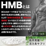 画像5: 筋肉革命SHAPE UP&MUSCLE!「SIXMAX HMB2975」3パック (5)