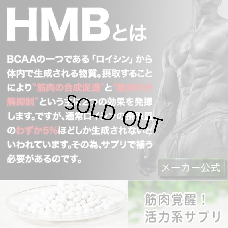 画像5: 筋肉革命SHAPE UP&MUSCLE!「SIXMAX HMB2975」3パック (5)