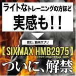 画像2: 筋肉革命SHAPE UP&MUSCLE!「SIXMAX HMB2975」3パック (2)