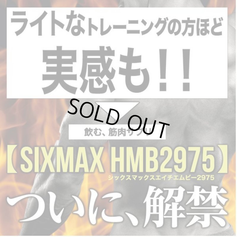 画像2: 筋肉革命SHAPE UP&MUSCLE!「SIXMAX HMB2975」3パック (2)